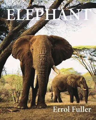 Elefánt - Elephant