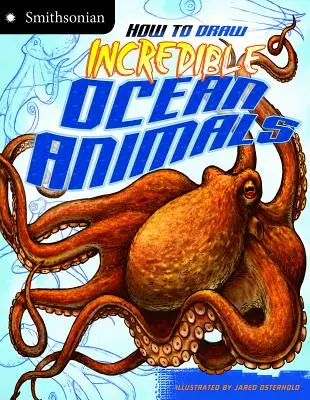 Hogyan rajzoljunk hihetetlen óceáni állatokat - How to Draw Incredible Ocean Animals