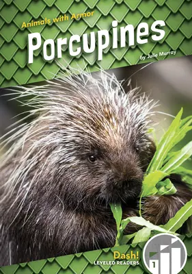 Süllő - Porcupines