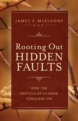 Rejtett hibák felderítése: Hogyan győzi le a bűnt a sajátos examen? - Rooting Out Hidden Faults: How the Particular Examen Conquers Sin