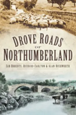 A Northumberland vezette utak - Drove Roads of Northumberland