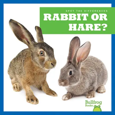 Nyúl vagy nyúl? - Rabbit or Hare?