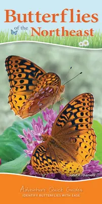 Butterflies of the Northeast: Identify Butterflies with Ease