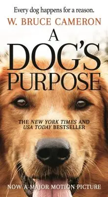 Psí cíl: román pro lidi - A Dog's Purpose: A Novel for Humans