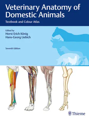 A háziállatok állatorvosi anatómiája: Tankönyv és színes atlasz - Veterinary Anatomy of Domestic Animals: Textbook and Colour Atlas