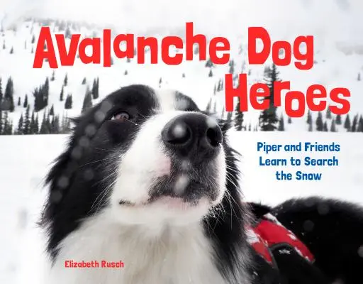 Avalanche Dog Heroes: Piper és barátai megtanulják, hogyan kell keresni a havat - Avalanche Dog Heroes: Piper and Friends Learn to Search the Snow