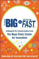 Gondolkodj nagyban, kezdj kicsiben, lépj gyorsan: A Mayo Clinic Innovációs Központjának tervezete az átalakuláshoz - Think Big, Start Small, Move Fast: A Blueprint for Transformation from the Mayo Clinic Center for Innovation