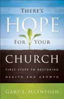 Van remény az egyházad számára: Első lépések az egészség és a növekedés helyreállításához - There's Hope for Your Church: First Steps to Restoring Health and Growth