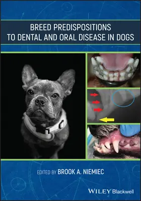 A kutyák fog- és szájbetegségekre való fajtajellegű hajlamai - Breed Predispositions to Dental and Oral Disease in Dogs