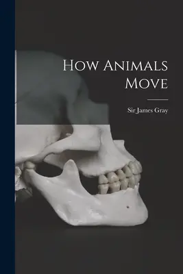 Jak se zvířata pohybují - How Animals Move