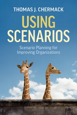 A forgatókönyvek használata: Scenario Planning for Improving Organizations - Using Scenarios: Scenario Planning for Improving Organizations