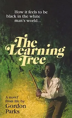 Tanulási fa - Learning Tree