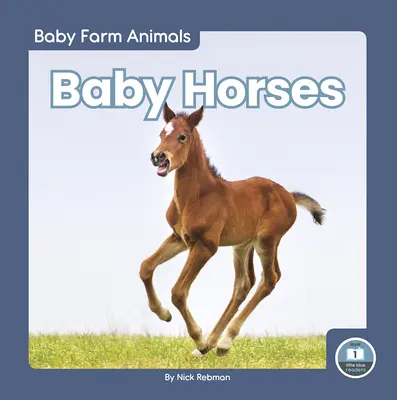 Baba lovak - Baby Horses