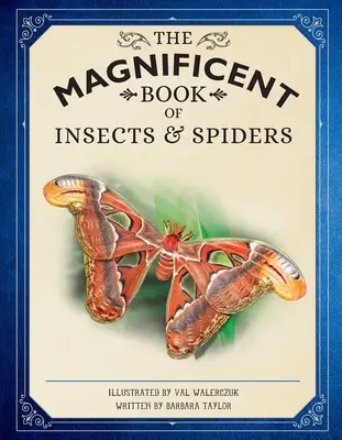 A rovarok és pókok csodálatos könyve: (Állatos könyvek gyerekeknek, természettudományi könyvek gyerekeknek) - The Magnificent Book of Insects and Spiders: (Animal Books for Kids, Natural History Books for Kids)