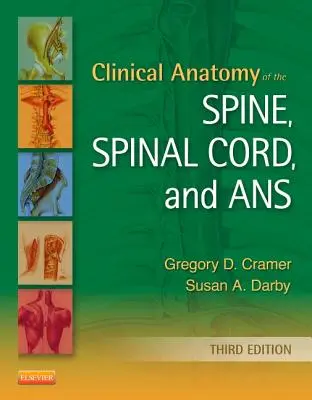 A gerinc, a gerincvelő és az ANS klinikai anatómiája - Clinical Anatomy of the Spine, Spinal Cord, and ANS