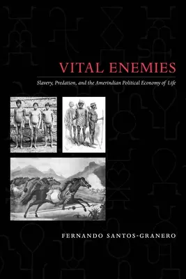 Életfontosságú ellenségek: rabszolgaság, ragadozás és az élet indián politikai gazdaságtana - Vital Enemies: Slavery, Predation, and the Amerindian Political Economy of Life