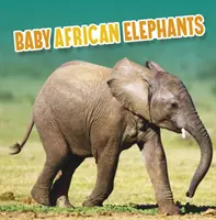 Afrikai elefántbébik - Baby African Elephants