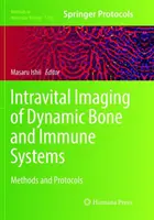 A dinamikus csont- és immunrendszerek intravitalis képalkotása: Módszerek és protokollok - Intravital Imaging of Dynamic Bone and Immune Systems: Methods and Protocols