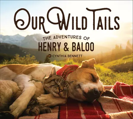 Vad farkincáink: Henry és Balu kalandjai - Our Wild Tails: The Adventures of Henry and Baloo