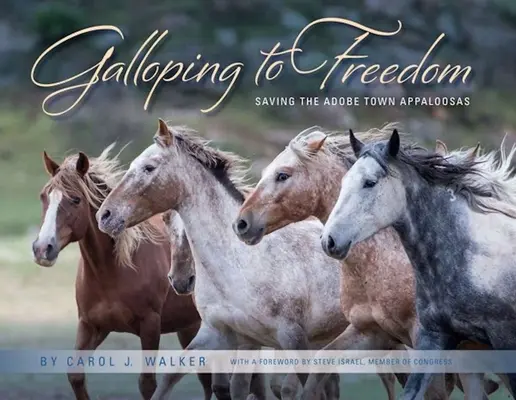 Galopp a szabadságba: Az Adobe Town Appaloosa megmentése - Galloping to Freedom: Saving the Adobe Town Appaloosas