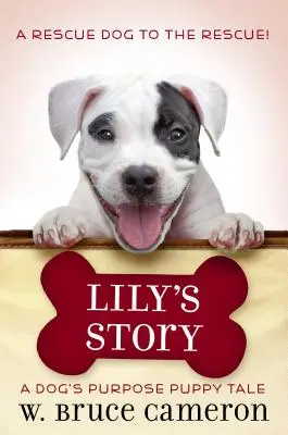 Lilyin příběh: Příběh štěněte - Lily's Story: A Puppy Tale