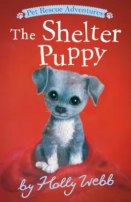 A menhelyi kiskutya - The Shelter Puppy