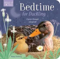 Lefekvés a kiskacsának - Bedtime for Duckling