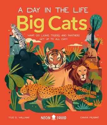 Nagymacskák (egy nap az életben): Mit csinálnak egész nap az oroszlánok, tigrisek és párducok? - Big Cats (a Day in the Life): What Do Lions, Tigers, and Panthers Get Up to All Day?