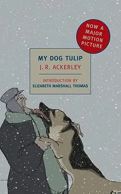 Az én kutyám Tulipán: Movie Tie-In Edition - My Dog Tulip: Movie Tie-In Edition