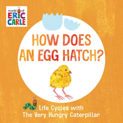 Hogyan kel ki egy tojás? Életciklusok a nagyon éhes hernyóval - How Does an Egg Hatch?: Life Cycles with the Very Hungry Caterpillar