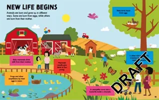 Látom a tudományt: Élő dolgok - I See Science: Living Things