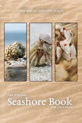 A Burgess tengerparti könyv új színes képekkel - The Burgess Seashore Book with new color images