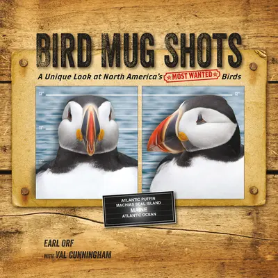 Madár bögrefotók: Egyedülálló pillantás Észak-Amerika legkeresettebb madaraira - Bird Mug Shots: A Unique Look at North America's Most Wanted Birds