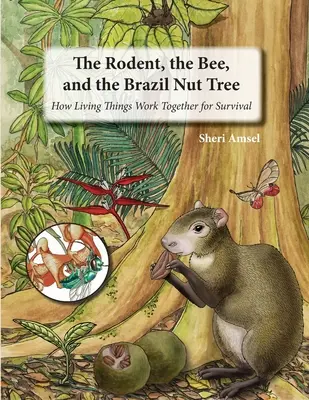 A rágcsáló, a méh és a brazil diófa: Hogyan dolgoznak együtt az élőlények a túlélésért - The Rodent, the Bee, and the Brazil Nut Tree: How Living Things Work Together for Survival