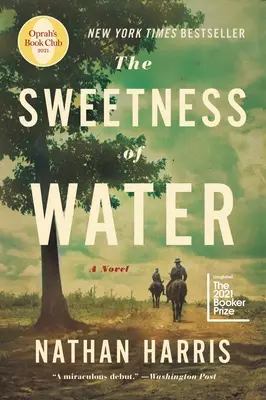 A víz édessége (Oprah's Book Club) - The Sweetness of Water (Oprah's Book Club)