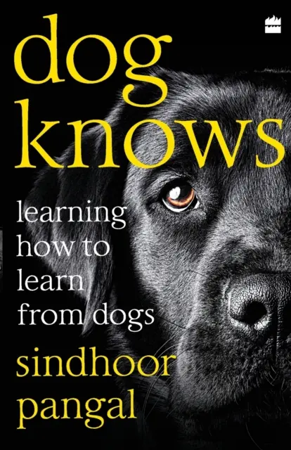 A kutya tudja: Hogyan tanuljunk a kutyáktól - Dog Knows: Learning How to Learn from Dogs