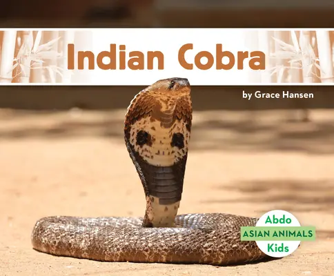 Indiai kobra - Indian Cobra