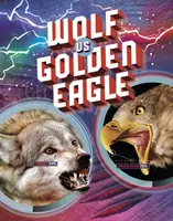 Farkas kontra aranysas - Wolf vs Golden Eagle