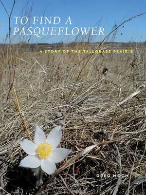 Hogy megtaláljuk a paszulyvirágot: A magasfüvű préri története - To Find a Pasqueflower: A Story of the Tallgrass Prairie