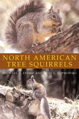 Észak-amerikai fa mókusok - North American Tree Squirrels