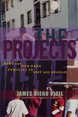 Projektek - Bandás és nem bandás családok Kelet-Los Angelesben - Projects - Gang and Non-Gang Families in East Los Angeles