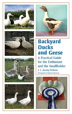 Hátsó udvari kacsák és libák: Gyakorlati útmutató a rajongóknak és a kisgazdáknak - Backyard Ducks and Geese: A Practical Guide for the Enthusiast and the Smallholder