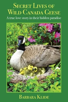 A vad kanadai ludak titkos élete: Egy igaz szerelmi történet rejtett paradicsomukban - Secret Lives of Wild Canada Geese: A true love story in their hidden paradise