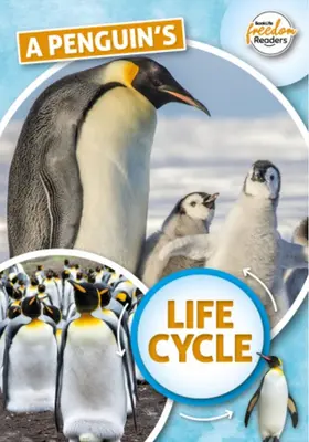 A pingvin életciklusa - Penguin's Life Cycle