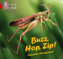 Buzz, Hop, Zip! - 02a sáv/Vörös a - Buzz, Hop, Zip! - Band 02a/Red a