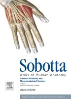 Sobotta Atlas of Human Anatomy, Vol.1, 15. kiadás, angol - Általános anatómia és mozgásszervi rendszer - Sobotta Atlas of Human Anatomy, Vol.1, 15th ed., English - General Anatomy and Musculoskeletal System