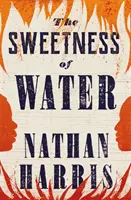 A víz édessége - A 2021-es Booker-díjra jelöltek listáján - Sweetness of Water - Longlisted for the 2021 Booker Prize