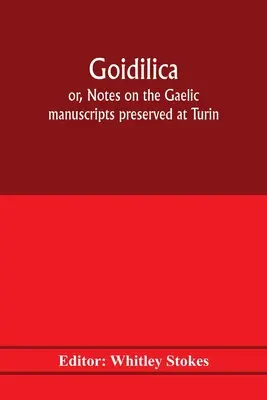 Goidilica; avagy jegyzetek a Torinóban, Milánóban, Bernben, Leydenben, a karintiai S. Paul kolostorban, Karinthiában és Cambridge-ben őrzött gael kéziratokról, nyolc - Goidilica; or, Notes on the Gaelic manuscripts preserved at Turin, Milan, Berne, Leyden, the monastery of S. Paul, Carinthia, and Cambridge, with eigh