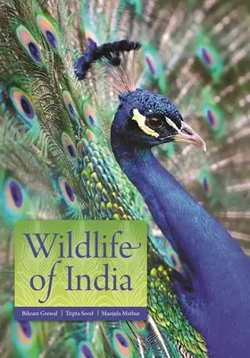 India vadvilága - Wildlife of India