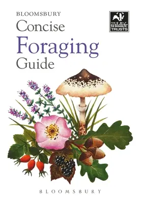 Tömör élelemkereső kalauz - Concise Foraging Guide